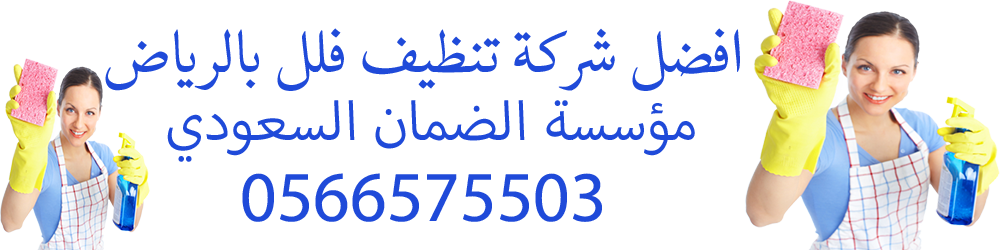 شركة تنظيف فلل بالرياض